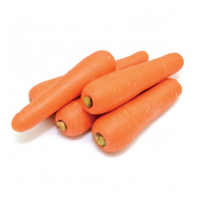 2024 New Crop Of Fresh Organic Vegetables Wholesale Chinese Seed Of Carot With Competitive Price