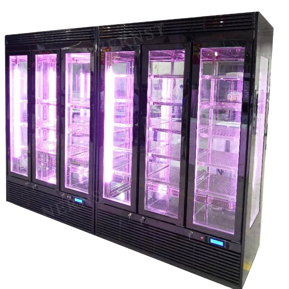 Best Selling Commercial Kitchen Equipment Dry Aging Ager Curing Meat Age Fridge Refrigerator Beef Dry Aging Cabinet