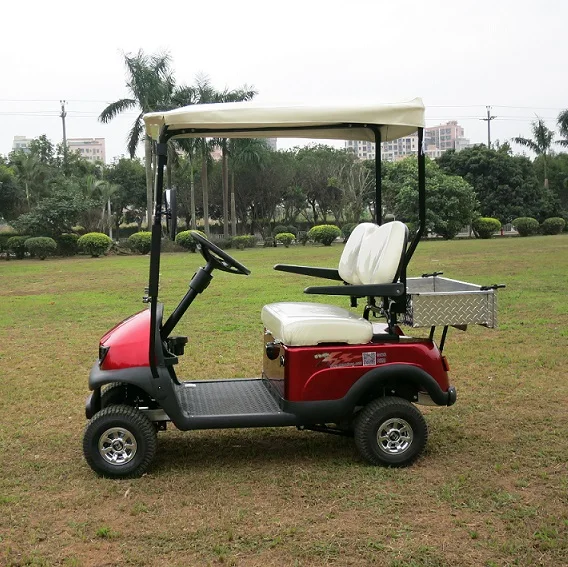 2 seat mini golf cart,kids golf scooter ,with rear cargo box or seat from Chinese factory