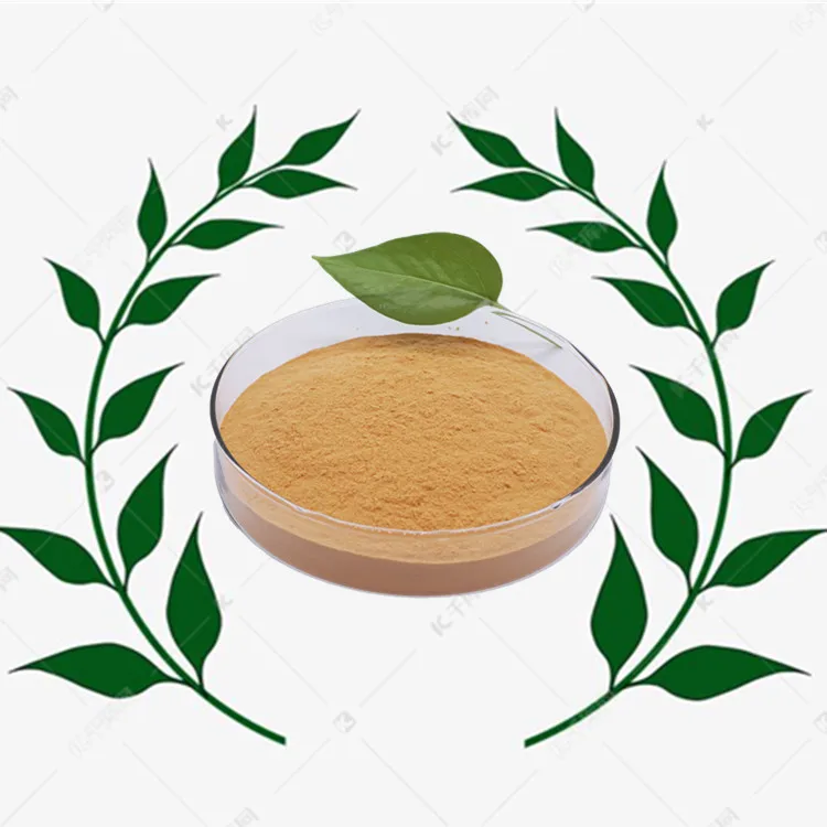 Биофунгицид органического сельского хозяйства Bacillus Subtilis Biofungicide CFU(1000x 108/g)