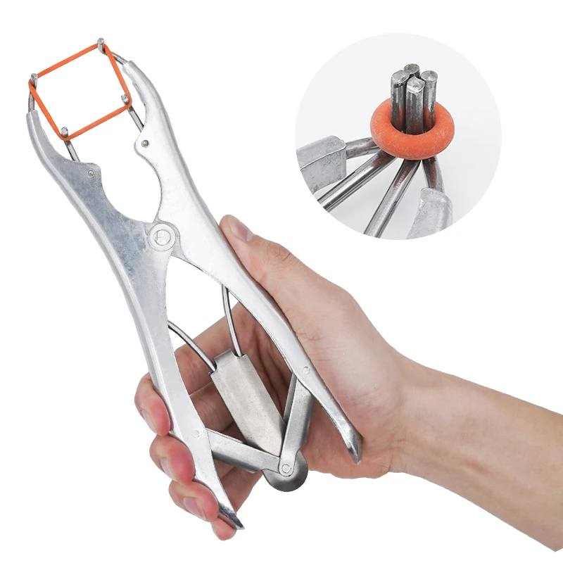 Animal Tail Cutting Ring Pliers Castration Forceps Expansion Clamp Stainless Steel Castration Forceps for Sheep