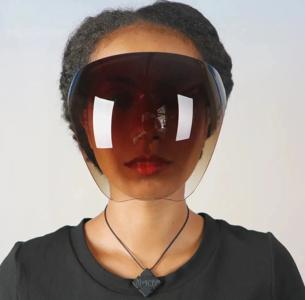 Removable Full Face Covered Glasses Face Shield Sunglasses