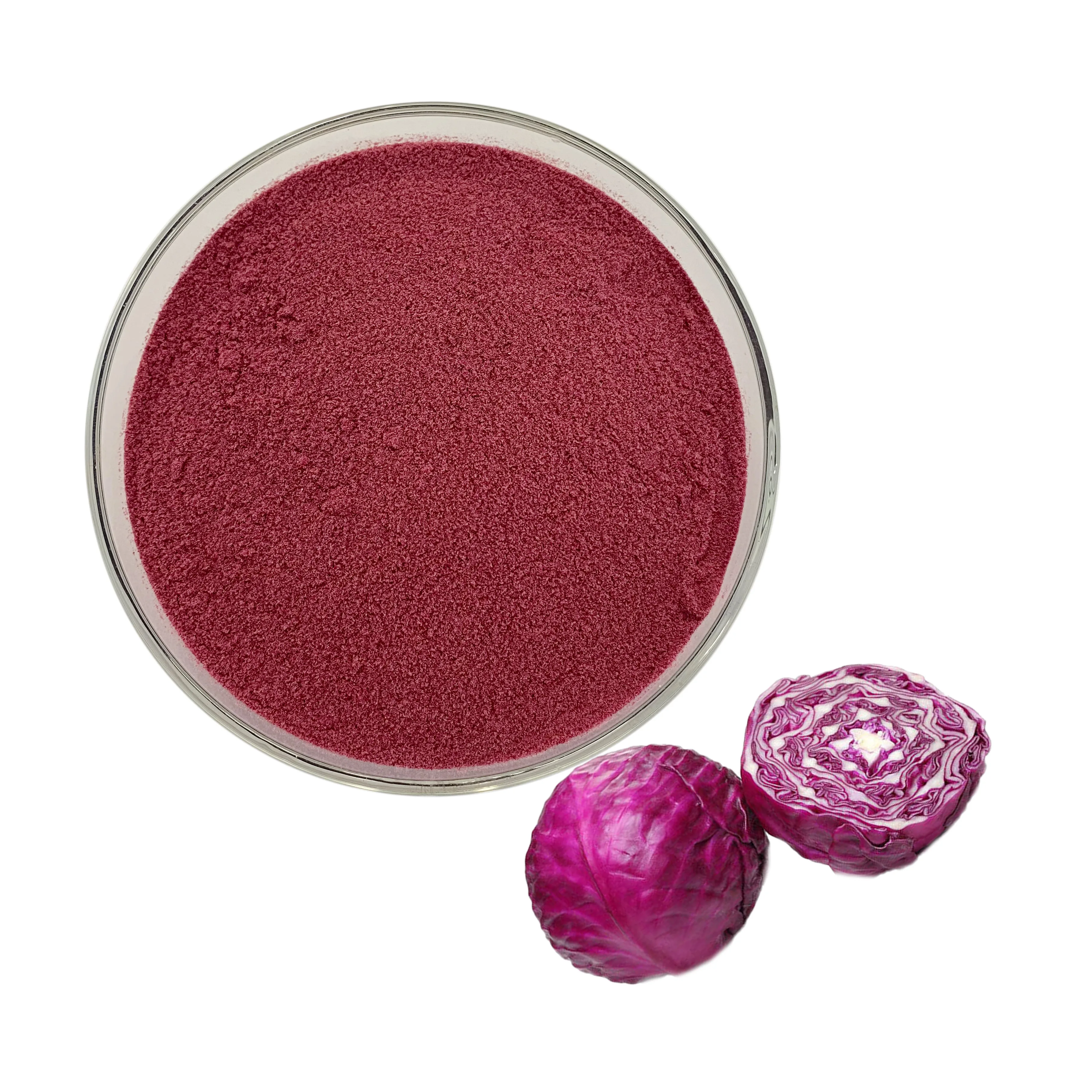 Economical and practical Kohlrabi Extract/Purple Kale Extract/Red Cabbage Extract Powder Anthocyanin 25%