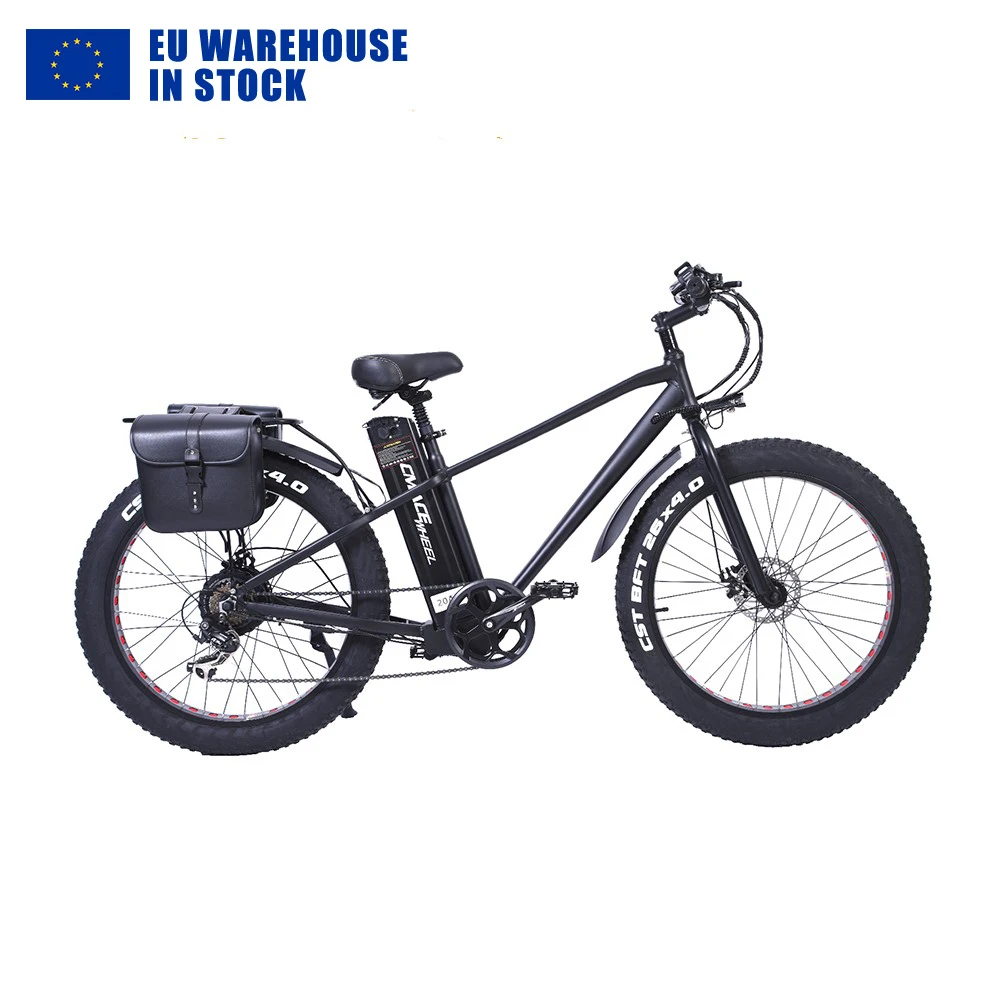 Wide Tube Two Tires Free Shipping Light Weight Manufacturer powerful Strong Off Road Electric Bicycle