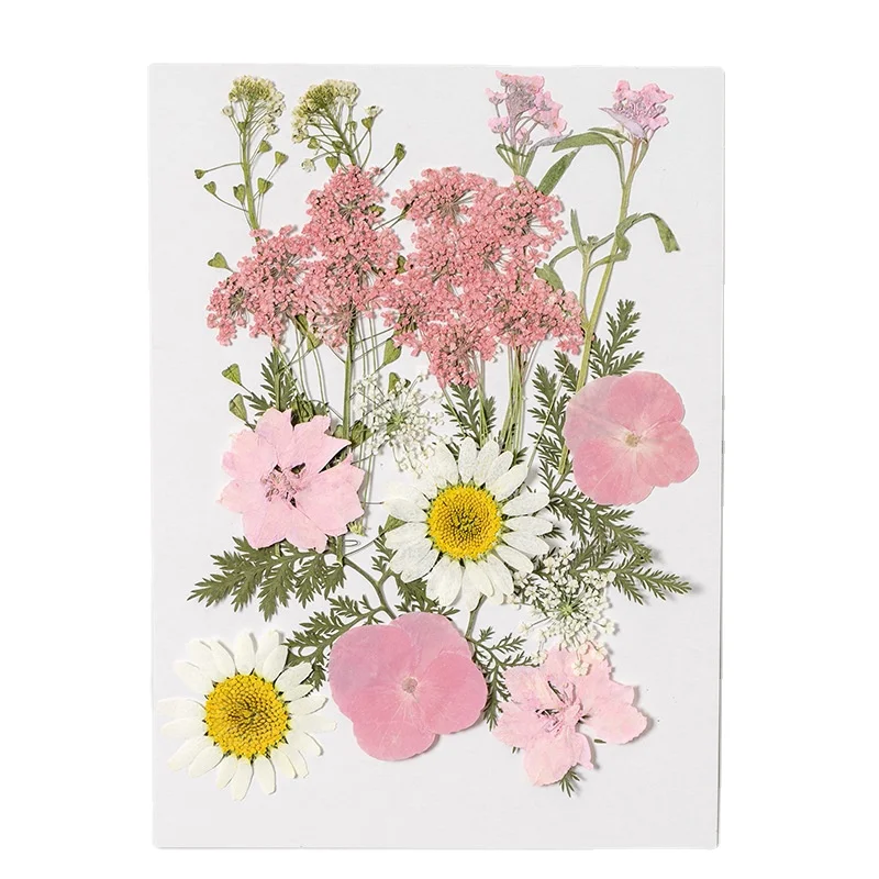 16pcs/pack Pressed Dried Flowers for Resin Mix Packs DIY Art Crafts Making Natural Plant Eco-friendly