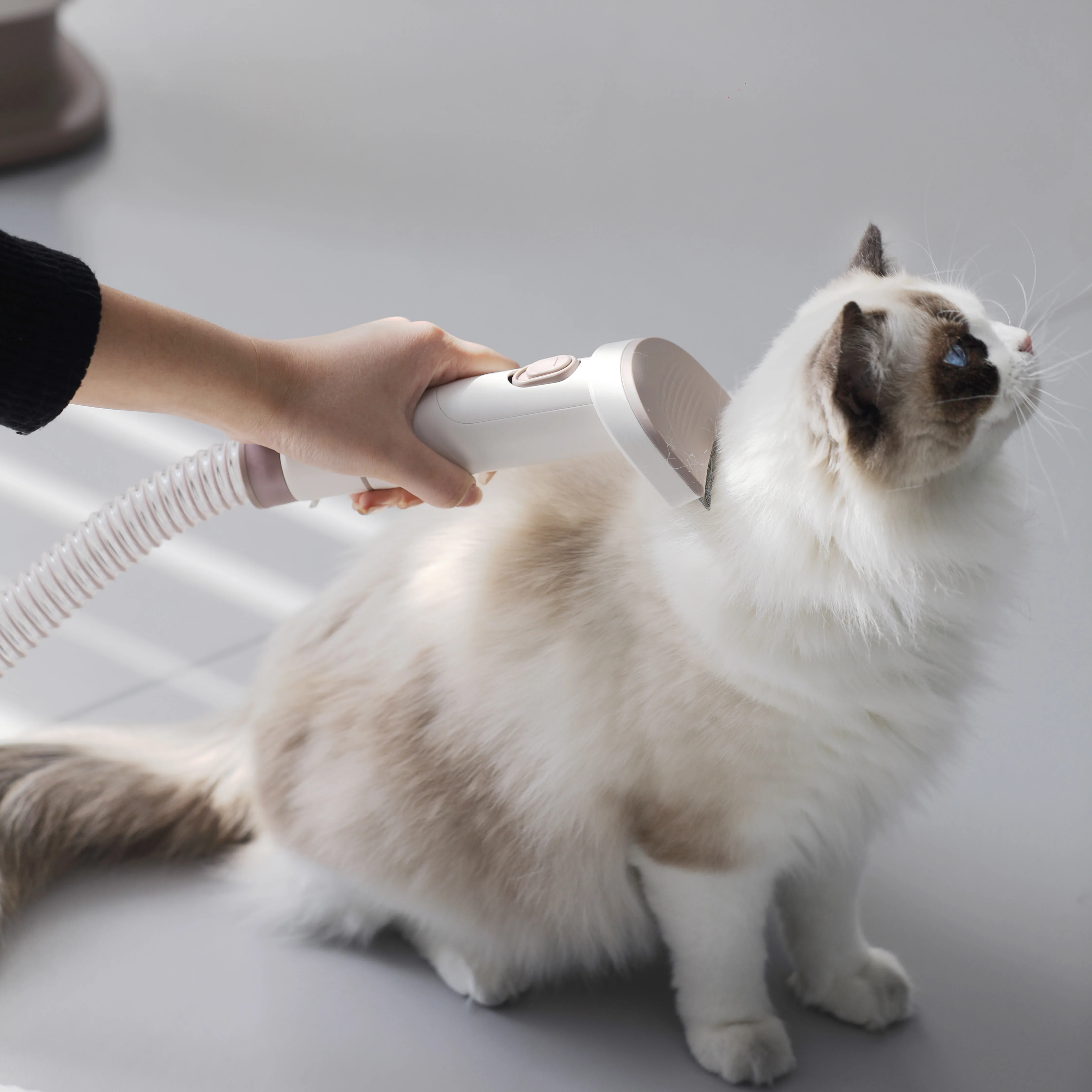 3L Large Capacity Low Noise Pet Vacuum Cleaner Electric Hair Grooming Dog Cat Brush Kit