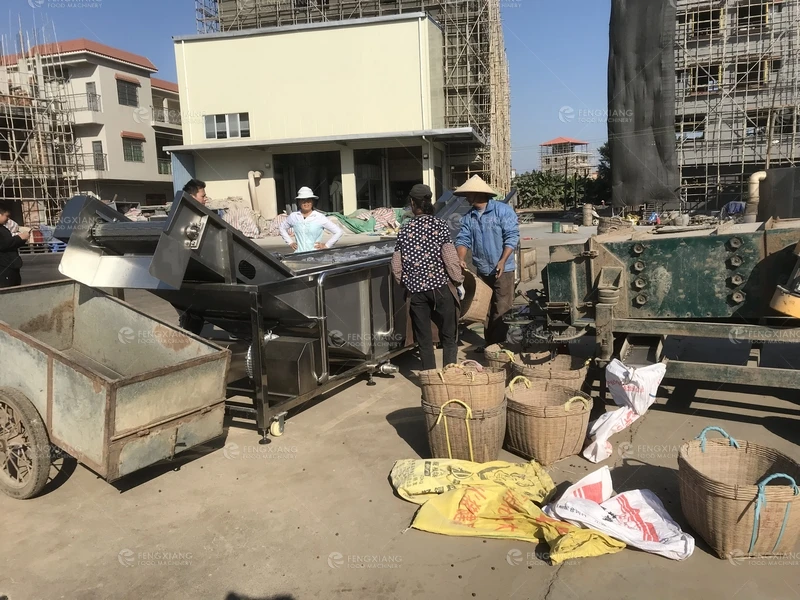 Gorgon fruit Small Little Fruits Vegetable Washing Machine