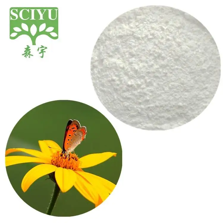 Provides Pure Natural Chicory Root Extract Organic Chicory Root Extract Plant