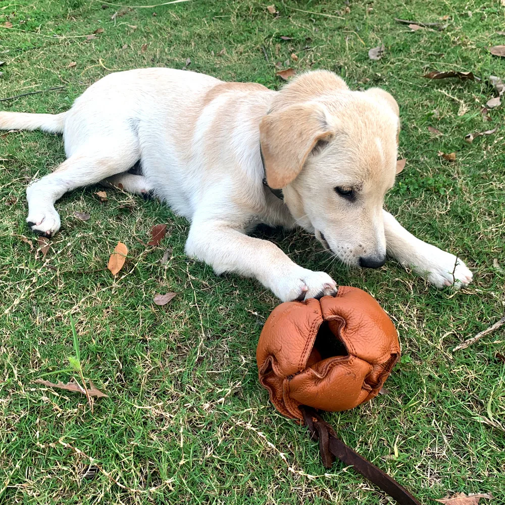 Puppy Small and Medium-sized Dog Training Cowhide Ball Training Supplies Tearing Ball Pet Interactive Toys Vent Bite Ball