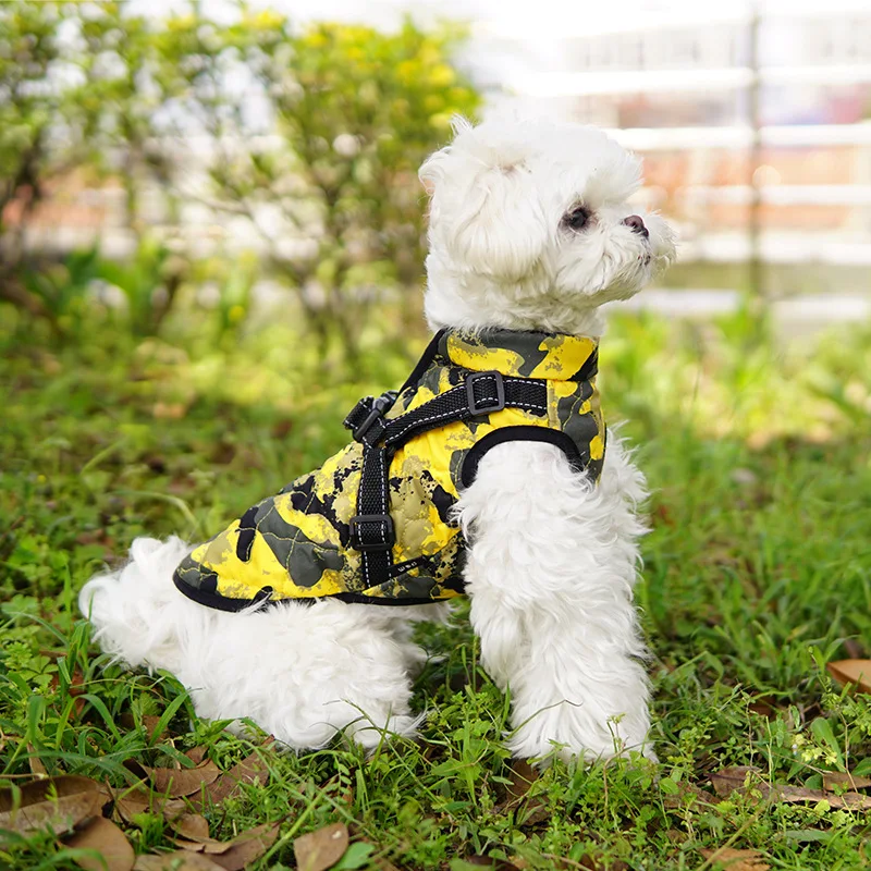 Dresspet Clothing Cute Pet Traditional Designer Brand Christmas Clothes For Small Large Breed Dog Breeds Girls 2024