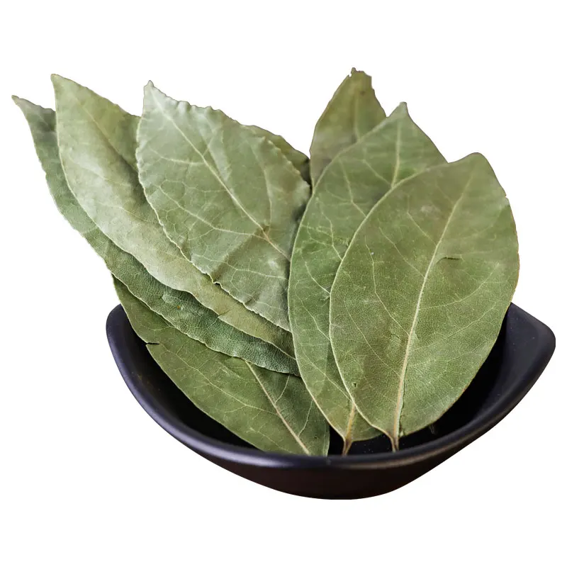 New Crop Laurel Leaves Dried Spice Raw Bay Leaf