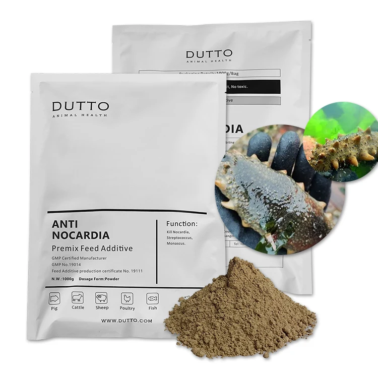 african farming catfish for white spot on fish