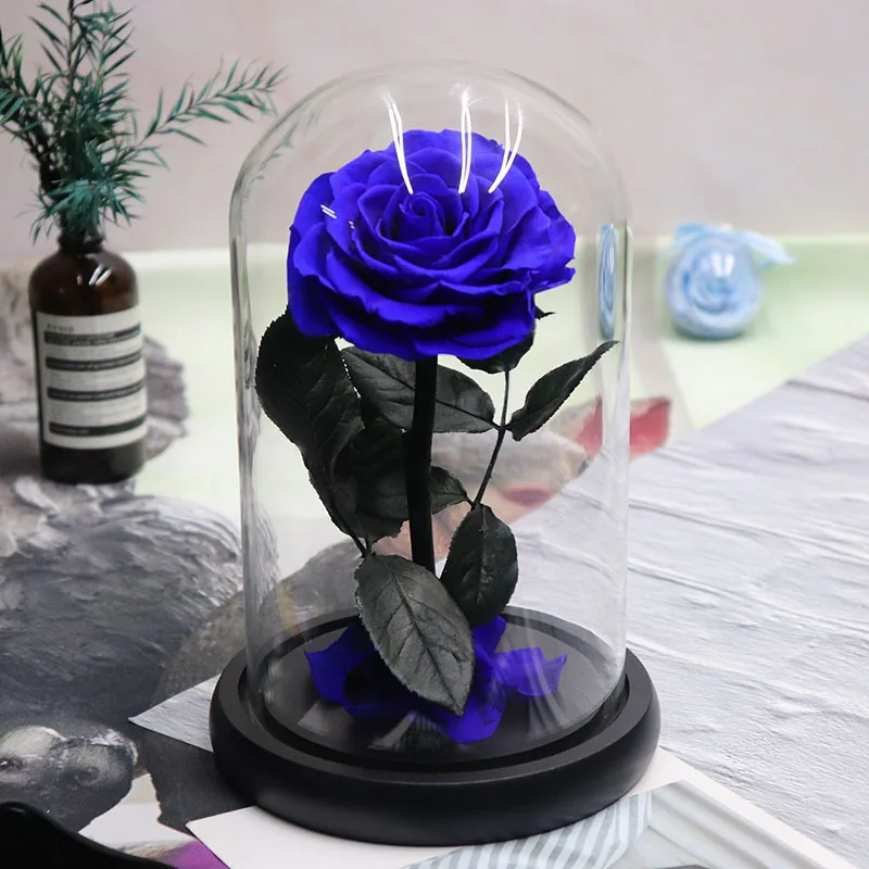 Preserved Rose Red Rose in Glass Dome Real Roses Preserved Flowers Valentines Day Gifts long lasting in flower box