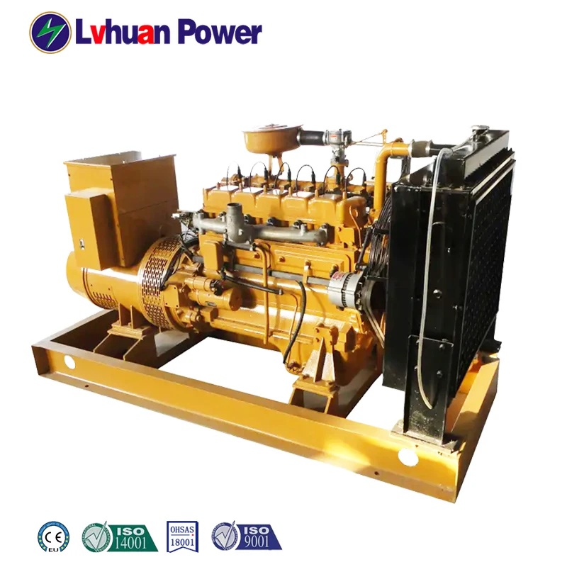 Home using Competitive price mini generator biogas plant household