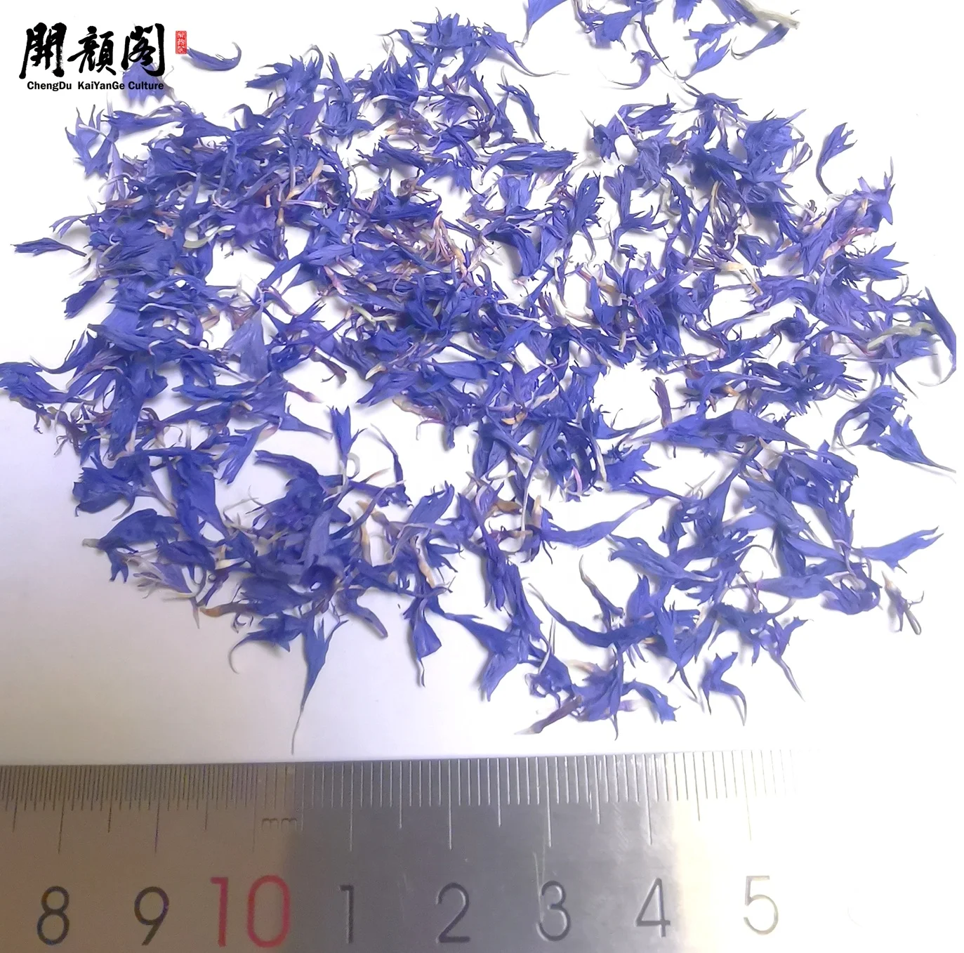 Wholesale Dried Centaurea Cyanus Flower Petal healthy tea dried Blue Cornflower tea Shi che ju natural dried flower blue Cornf