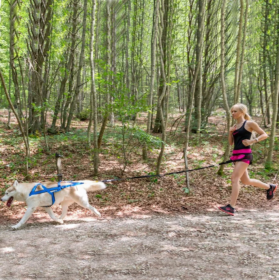 Double Hook Hands free Elastic Running Dog Lead Husky Mushing Exercise Bikejoring Dog Canicross Skijoring Bag Running Belt