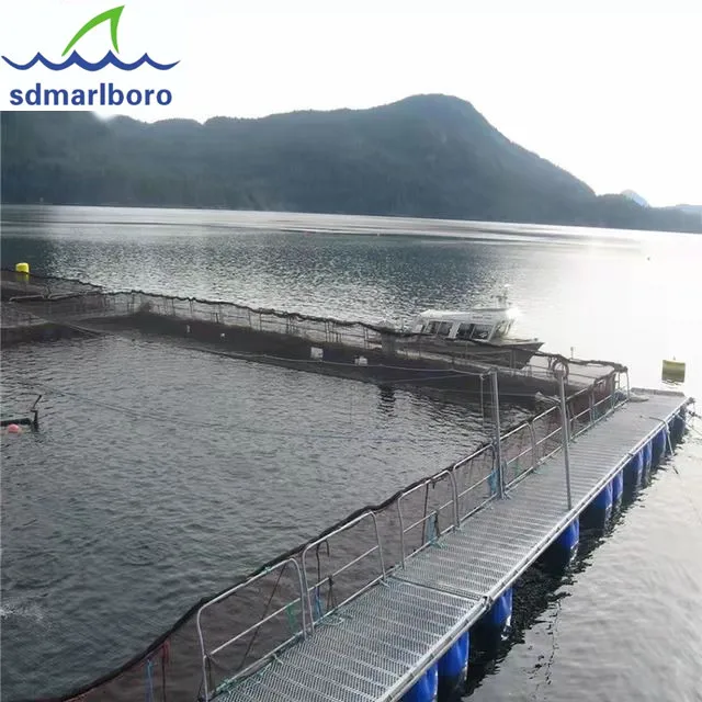 1mm 2mm Waterproof Geo Membrane Plastic Artificial Lake Tank Dam Lining Swim Pool Fish Pond Farm Liner HDPE Geomembrane