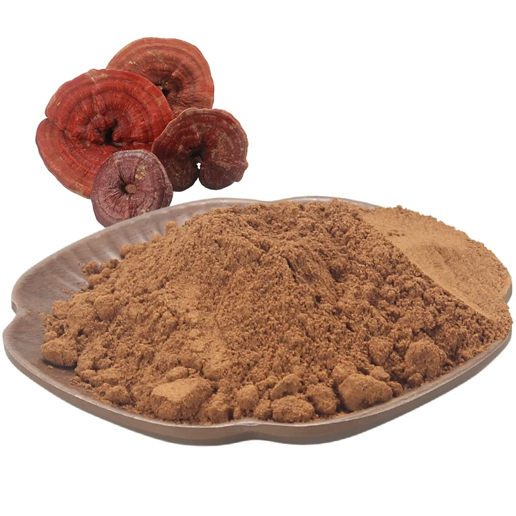 
extract reishi black coffee organo spore powder of broken ganoderma lucidum gold 