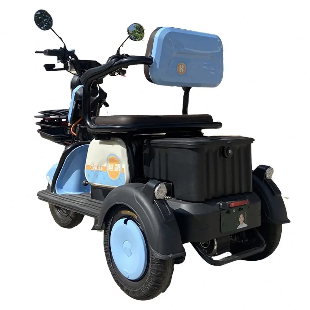 Popular Design 60V 3 Wheel Cargo Tricycle Electric Car Three Passenger Motorcycle for Elder Use