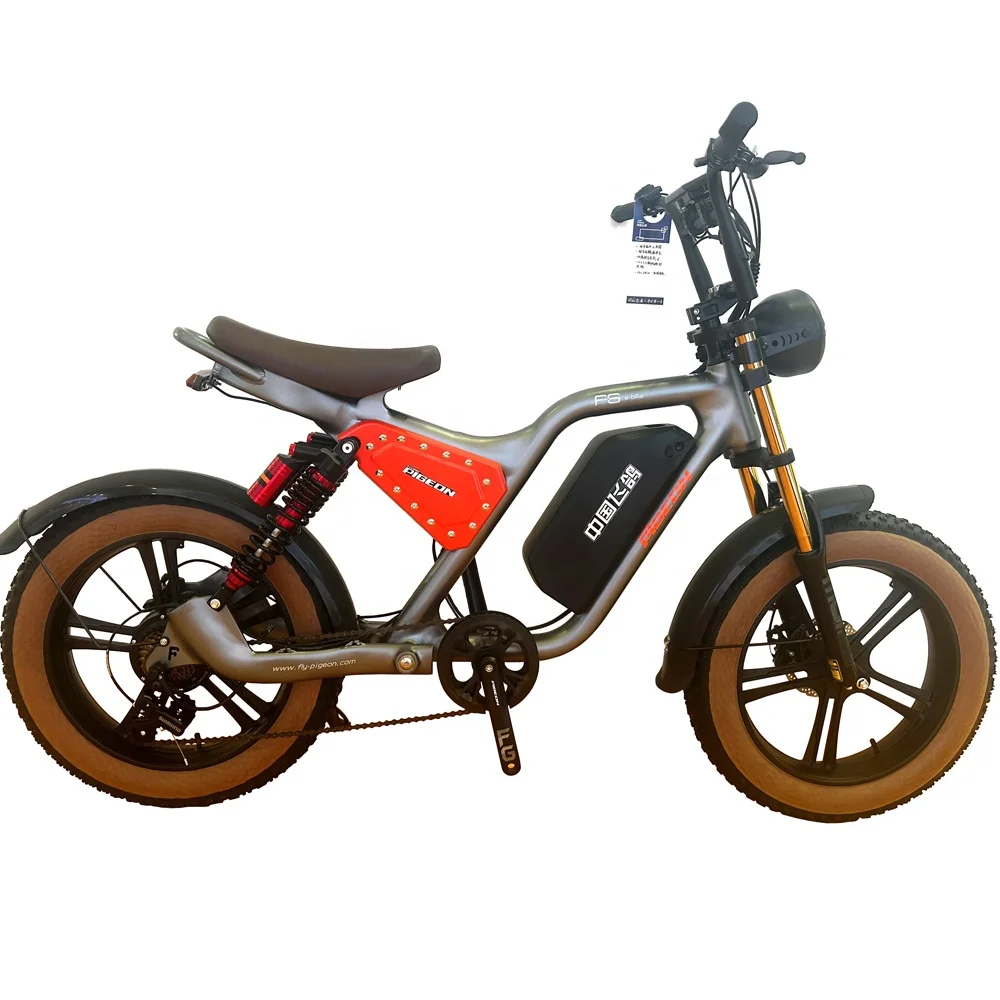 Wholesale Long Range 20 inch fat air tire E-BIKE (FP-EB23008)