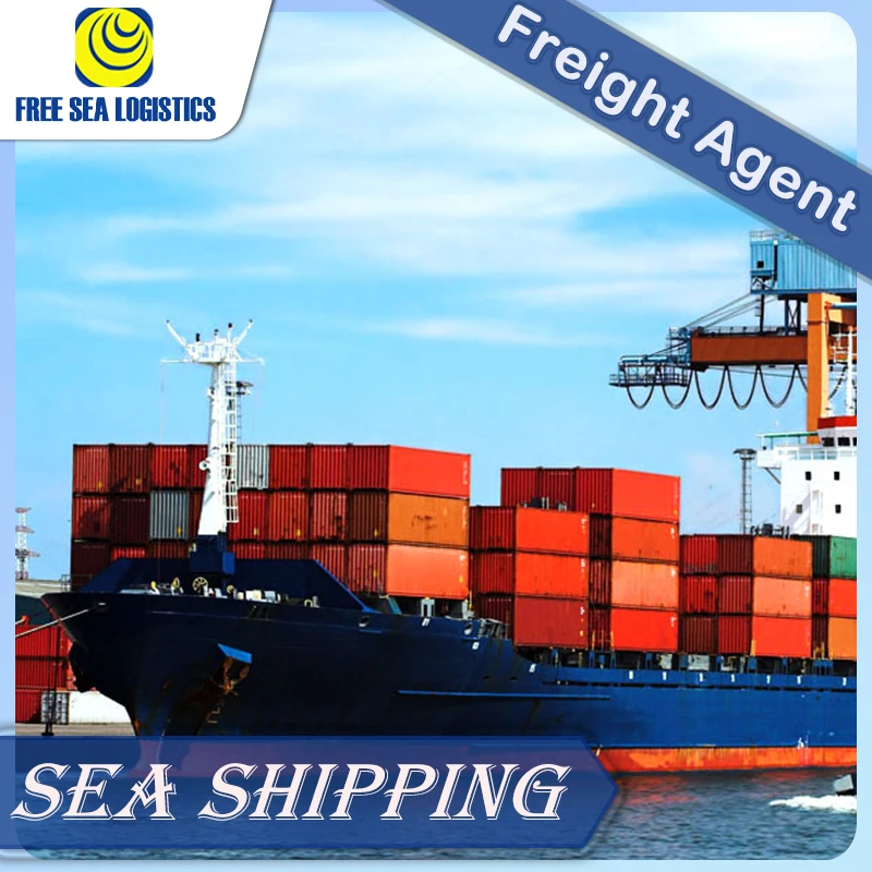 Best freight forwarder from Shenzhen to USA/UK/Australia/New Zealand ddp sea shipping