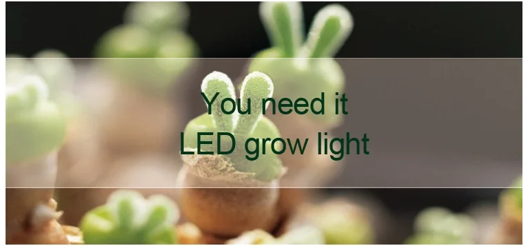 Tripod Stand Lamp ON/OFF Switch 150W LED Grow Light for Indoor Plants
