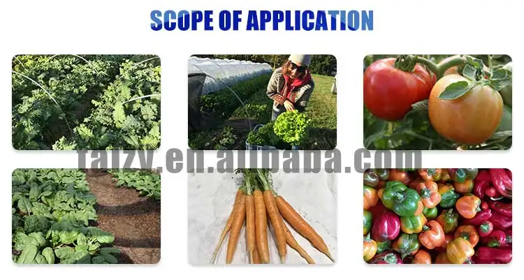 4 rows tractor driven bacco hemp vegetables seedling transplanting machines for farmer