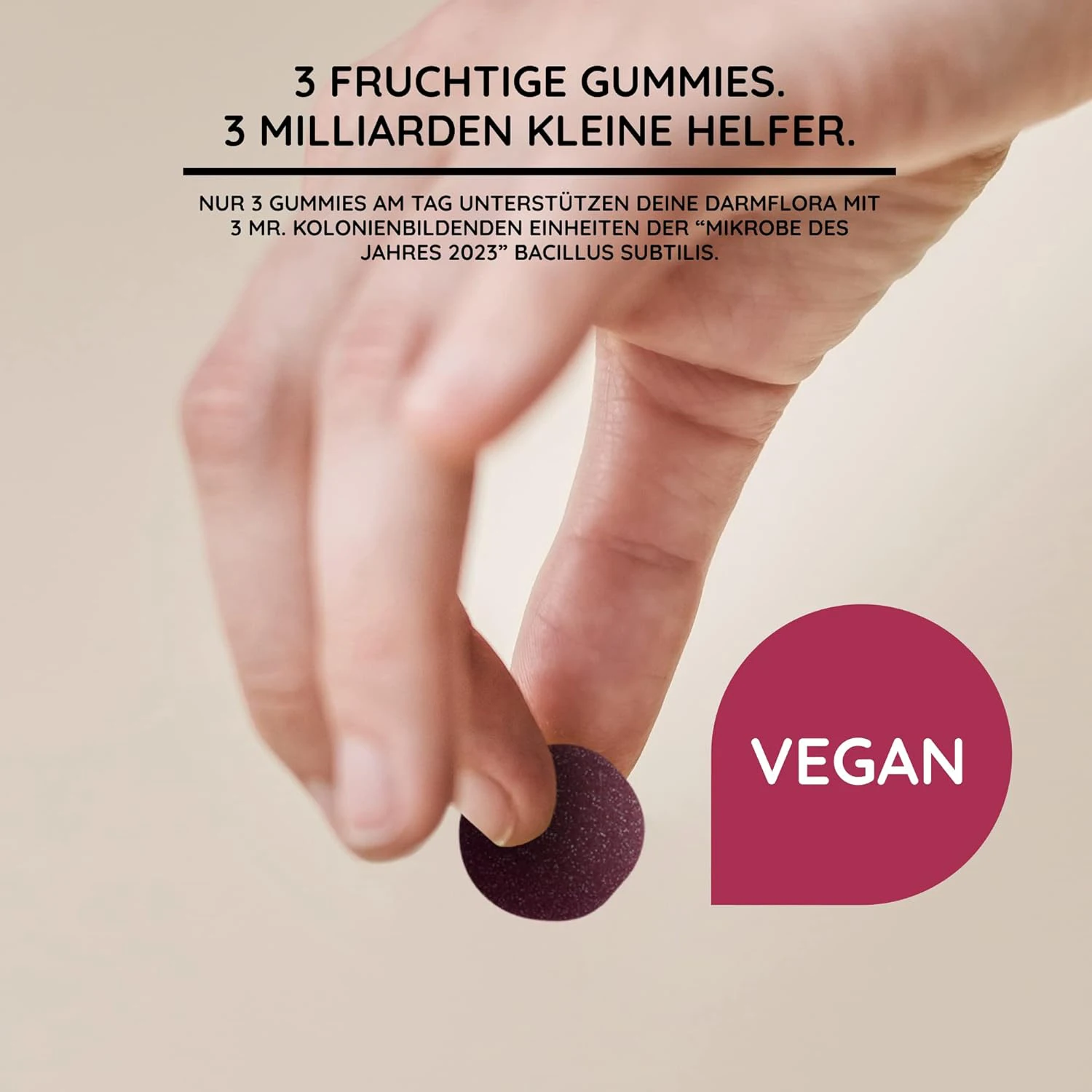 Factory Wholesale Bacillus Subtilis Spore Based Probiotic Microbiome Support for Family Bacillus Subtilis Gimmies For Health