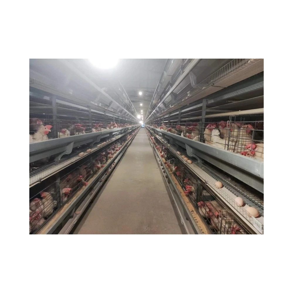 4% Compound Premix for Chickens - Factory Direct, Organic, and High Protein