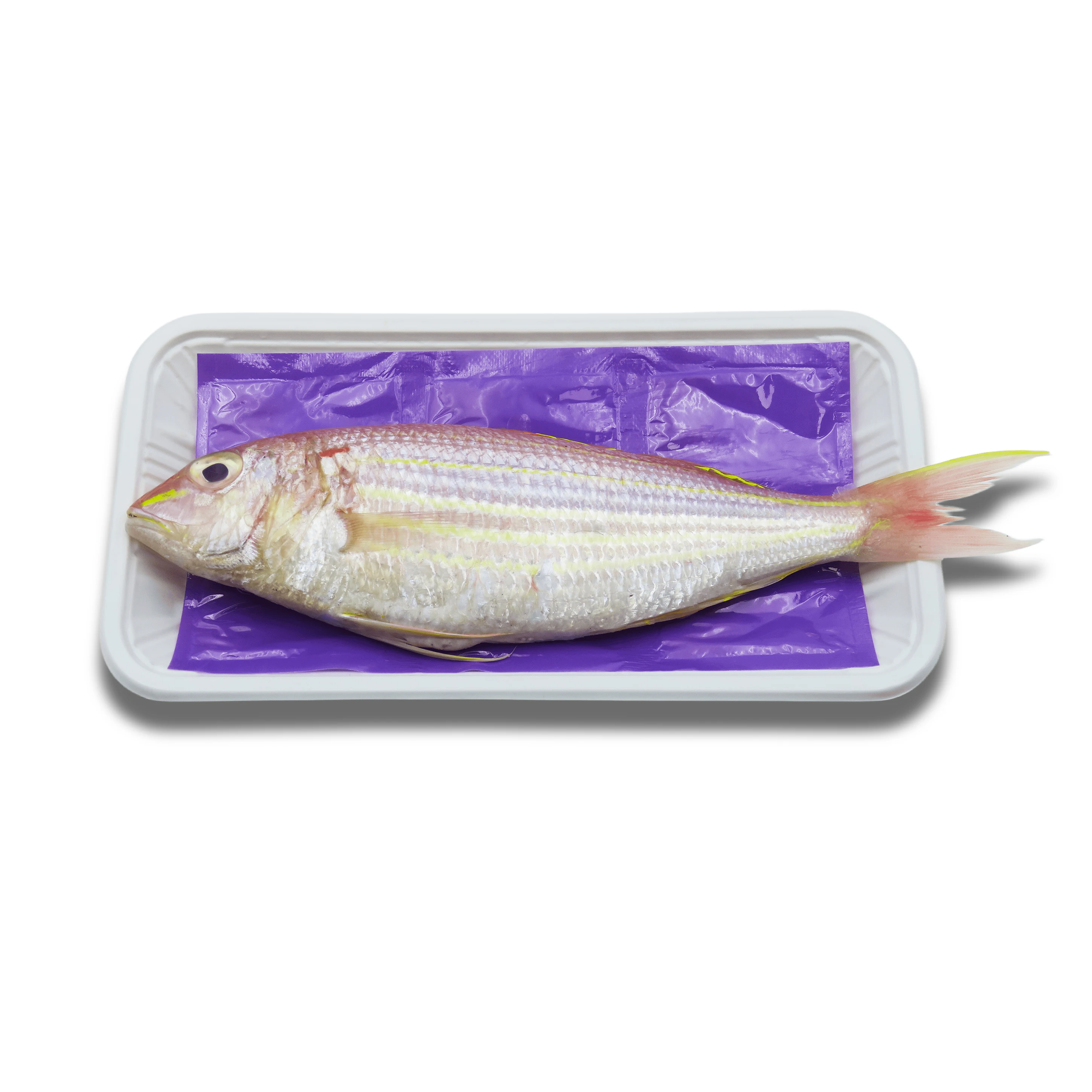 High Quality Environmental Food Absorbability Tray Pad Meat Pad Packaging Absorbs Moisture Meat Vegetables