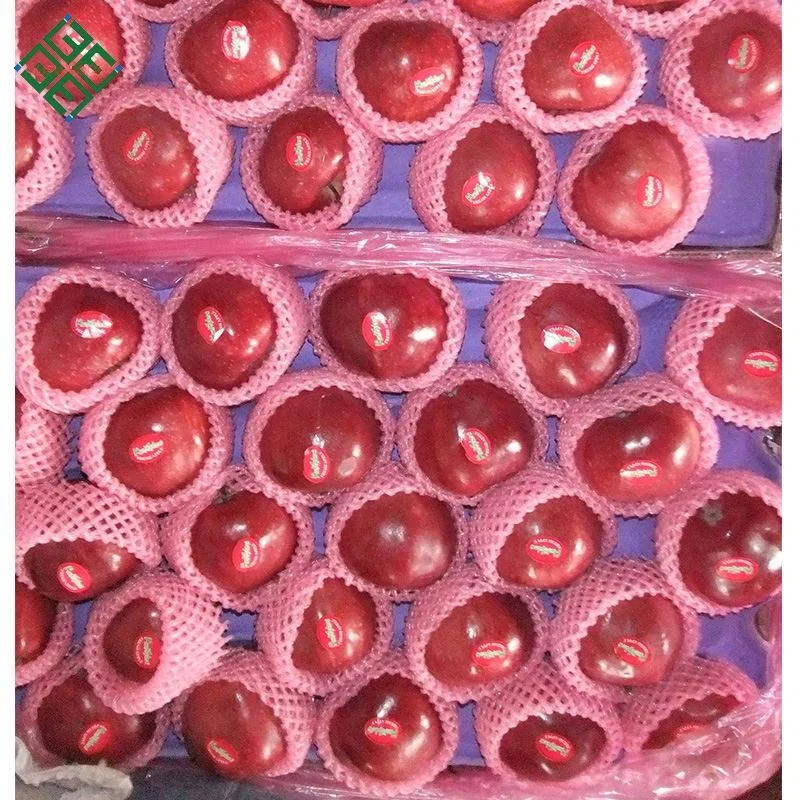 Импортеры свежих фруктов, свежие яблоки, свежие яблоки, яблоки fuji, область yantai