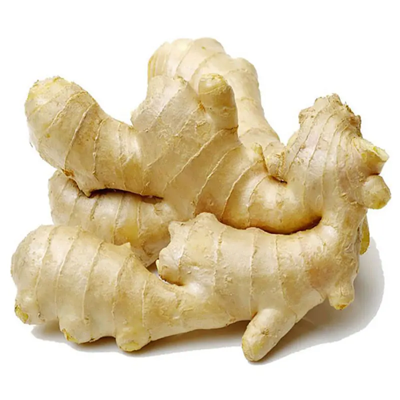Ginger Fresh China Washed Ginger Best Quality Professional Export Fresh Ginger