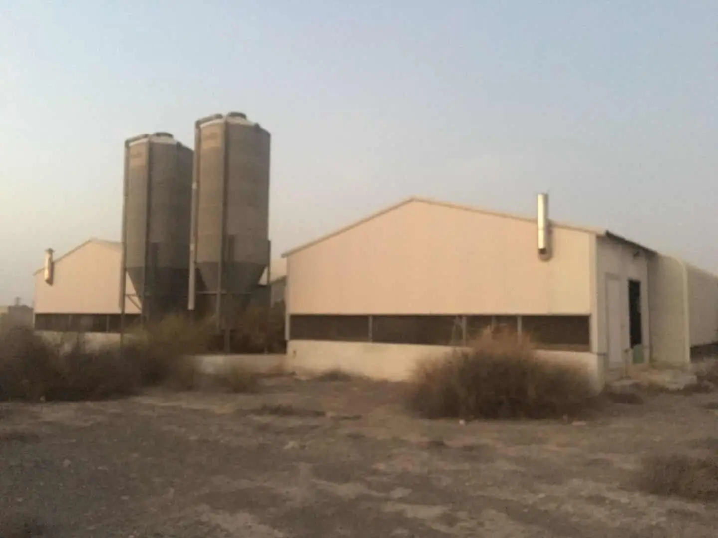 Fully Automatic Steel Structure Complete Poultry and Layer Farming Broiler Chicken Houses