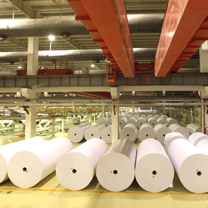 Wholesale Environmental Protection Labels Printing C1S Art Paper Roll Gravure Printing Paper