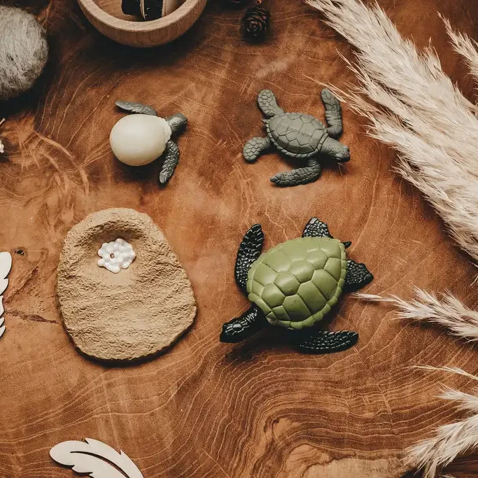 CPC CE Life Cycle Toys, Animal Figurines Toys Preschool Learning Education Montessori Toys for Kids