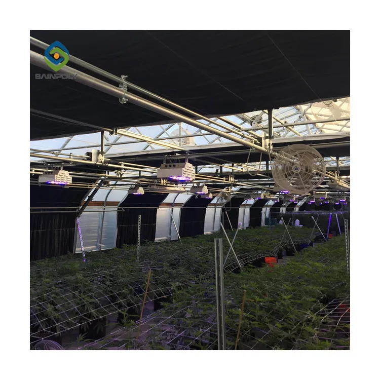 Single-span Growing Light Deprivation Automated Blackout Greenhouse for medical plants