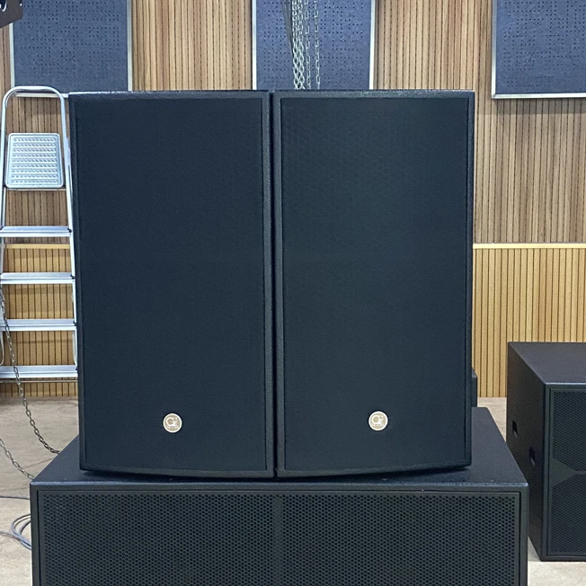 professional audio, video & lighting 15 inch karaoke passive speaker Matrix sound