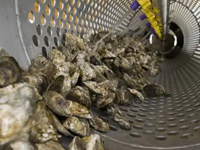 High quality heavy-duty machine oyster sorting tumbler with aluminum