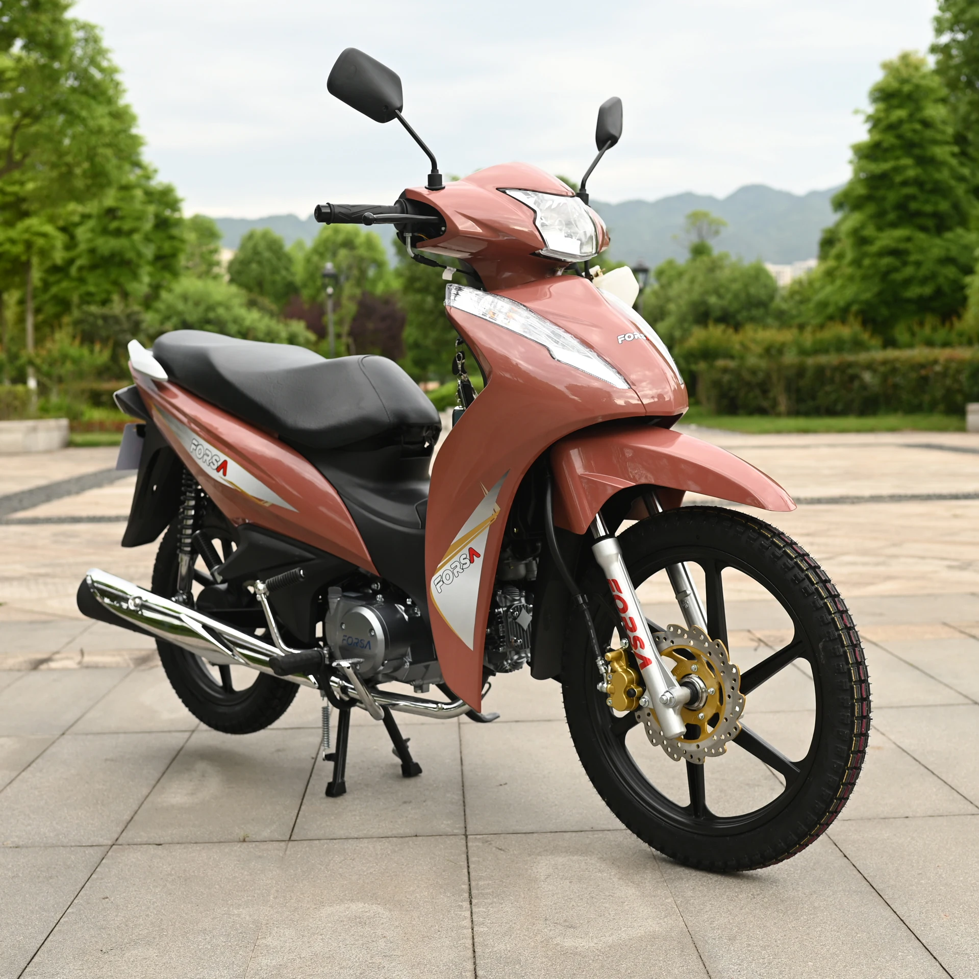 135cc Motorcycle FS135-B12 Forsa Cub Gasoline Motorcycle  China Manufacturer