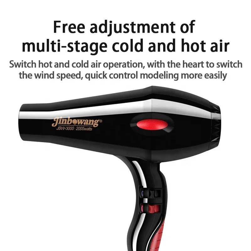 Factory direct sale 2 speed silent wind speed hair dryer with heating protection device