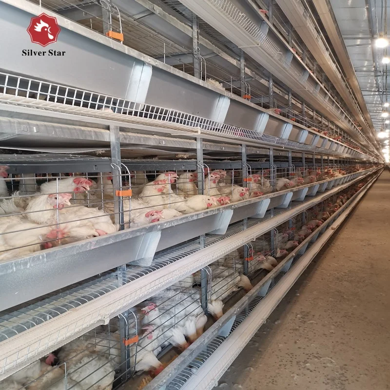 plastic coating chicken wire mesh battery H type egg layer chicken cages(coops)system.jpg