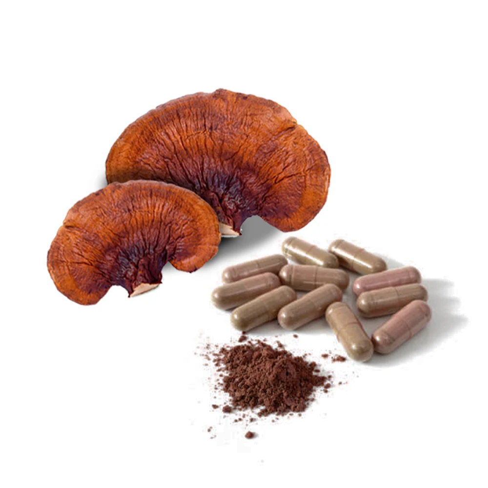Reishi shell-broken spore Extract ganoderma lucidum wall-broken spore powder capsules 100%pure healthy supplement