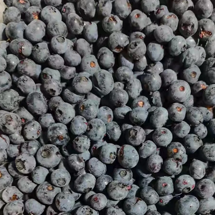 Good Taste IQF Fruits Frozen Whole Blueberry