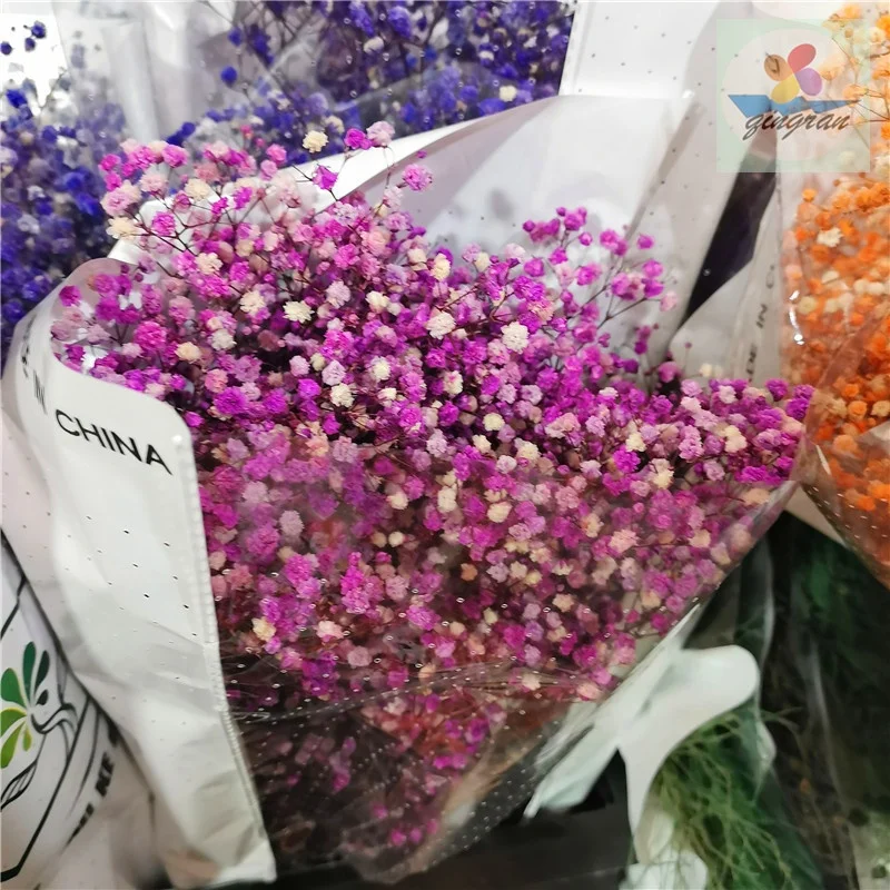  Оптовая продажа сушеный цветок babysbreath сохраненный вечный настоящий и
