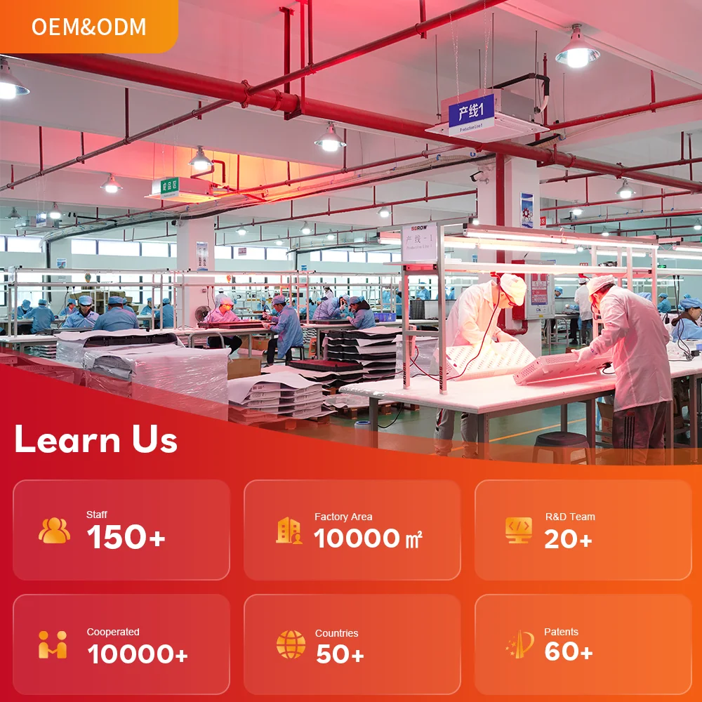 sports centre room led red light therapy panels floor stand for red light therapy panels