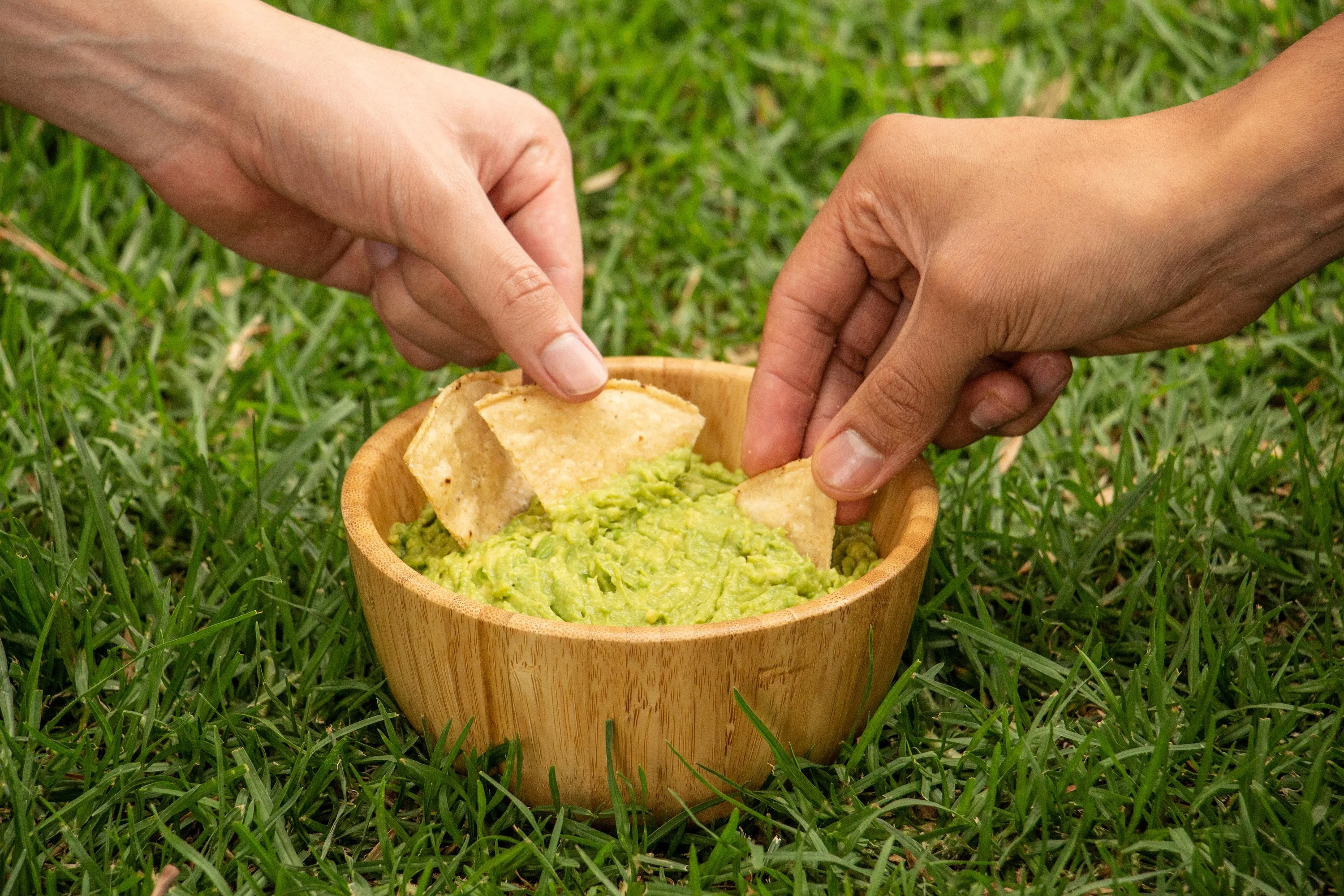 Mexican Export Fruit Private Label Agriculture Foods Wholesale Freeze Dry Avocados Frozen Guacamole Avocado Pulp Price