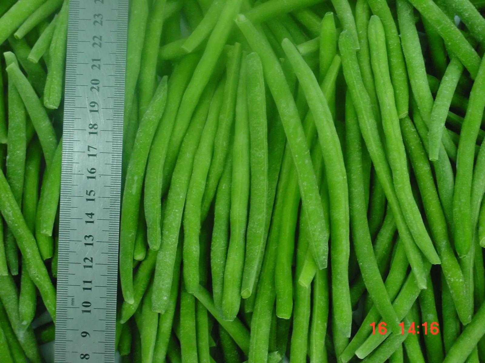 Wholesale IQF Frozen Vegetables Frozen Long Green Beans