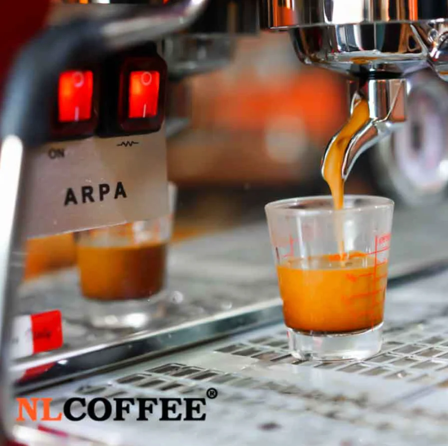 Wholesale Price and Top Quality Roasted Arabica Coffee Beans