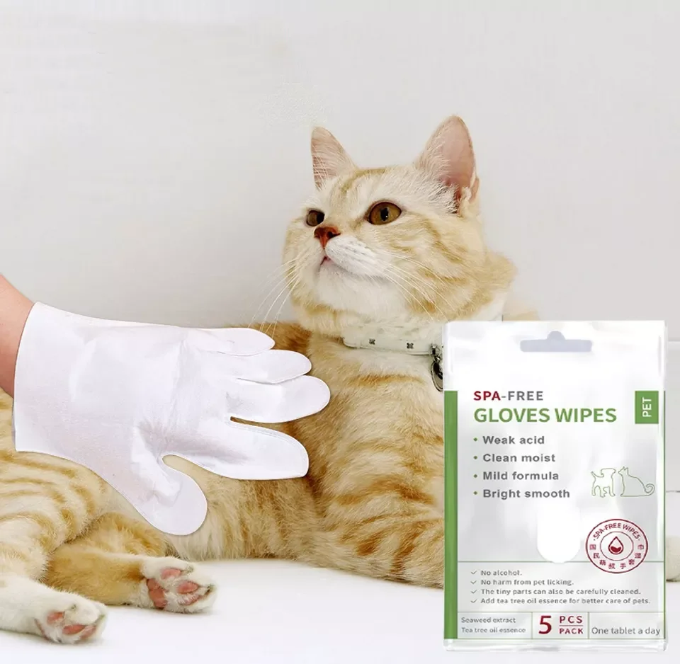 Wholesale Pet Cleaning Products Grooming & bathing Paw Glove WIpes