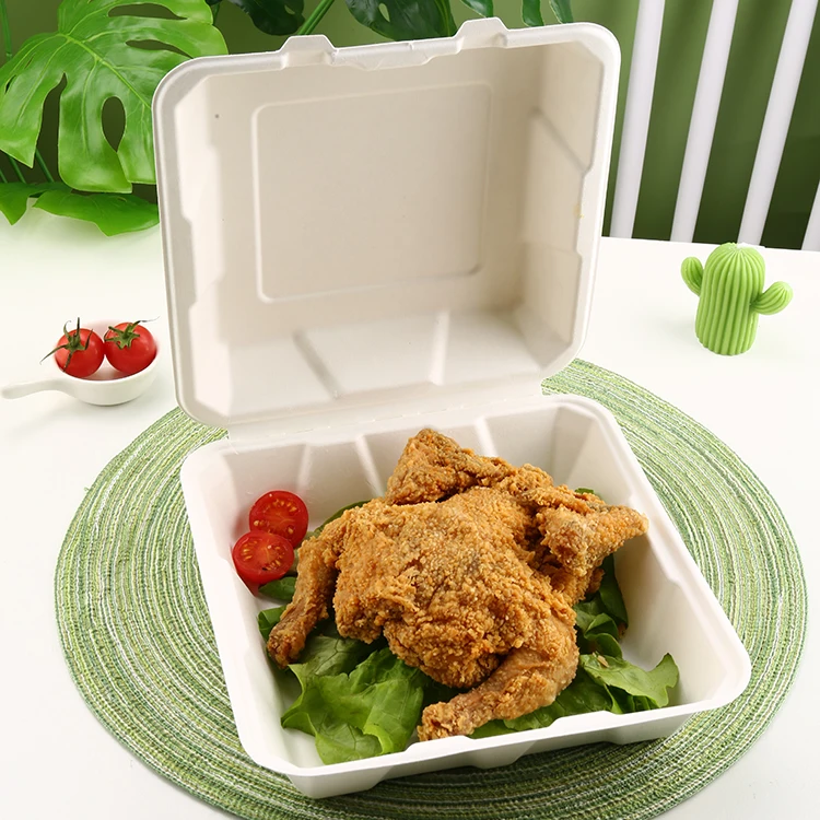 Natural White Color Ecopack Rectangle Sugarcane Bagasse Disposable Food Container Plate Meal Box with Lid